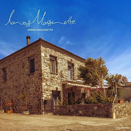 Ianos Maisonette Paralia Sergoulas Dış mekan fotoğraf