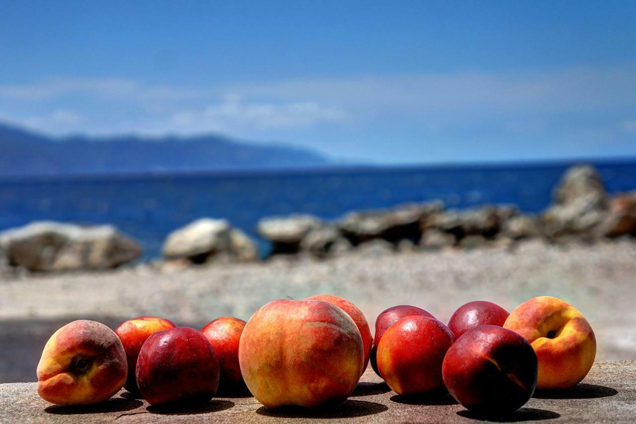 Ianos Maisonette Paralia Sergoulas Dış mekan fotoğraf