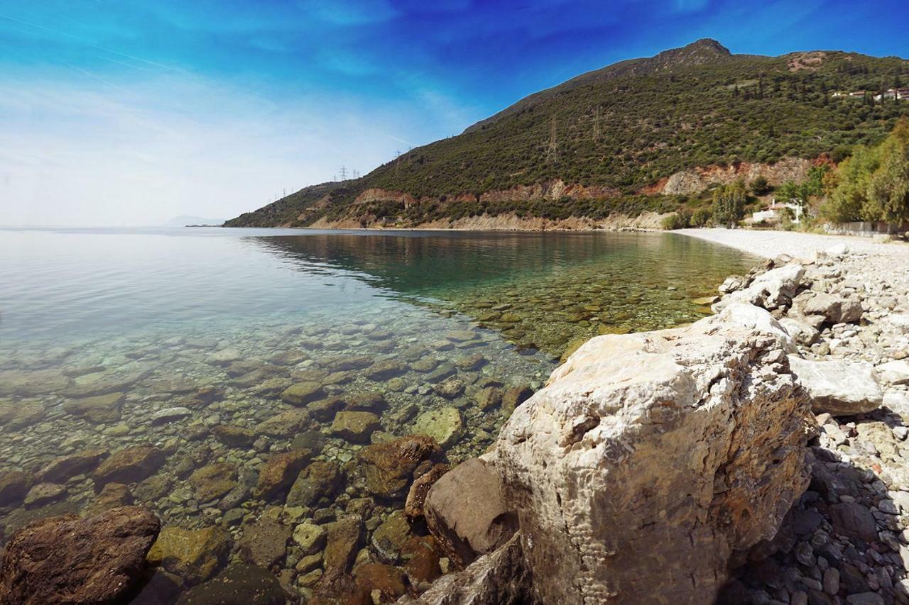 Ianos Maisonette Paralia Sergoulas Dış mekan fotoğraf